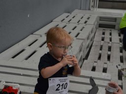 run up berlin 2024